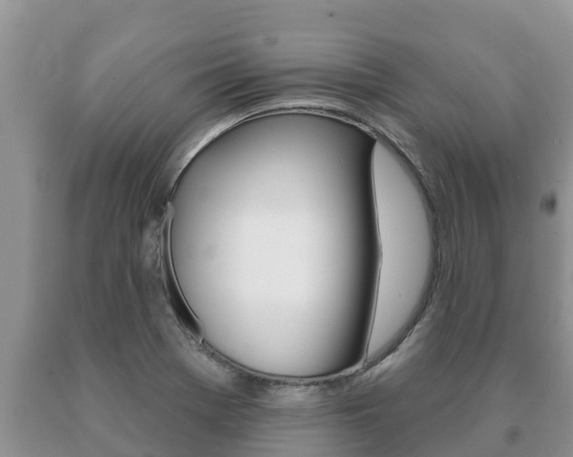 X0000091071369200708061013