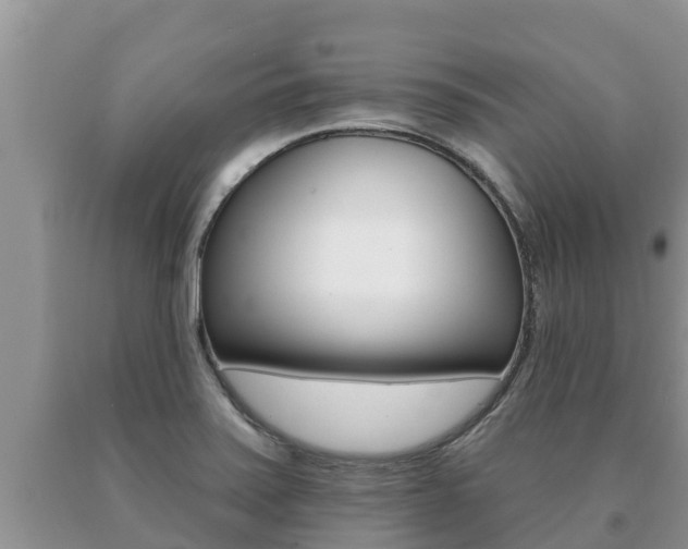 X0000091071371200708061013
