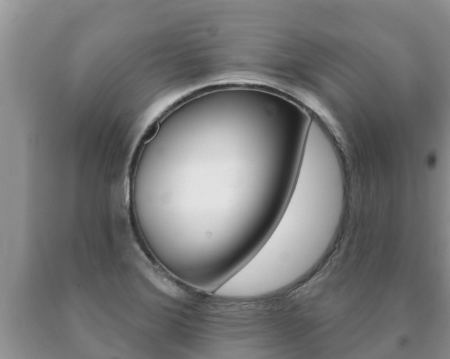 X0000091071372200708061013