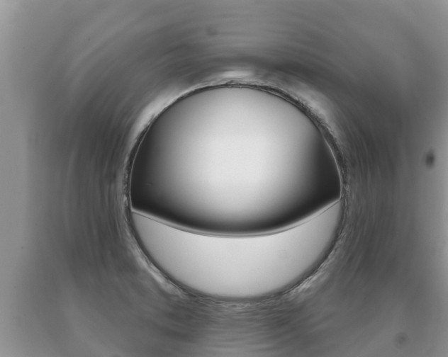 X0000091071373200708061013