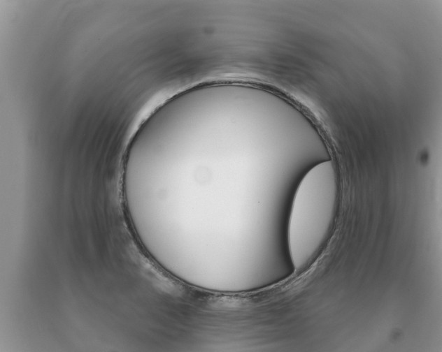 X0000091071374200708061013