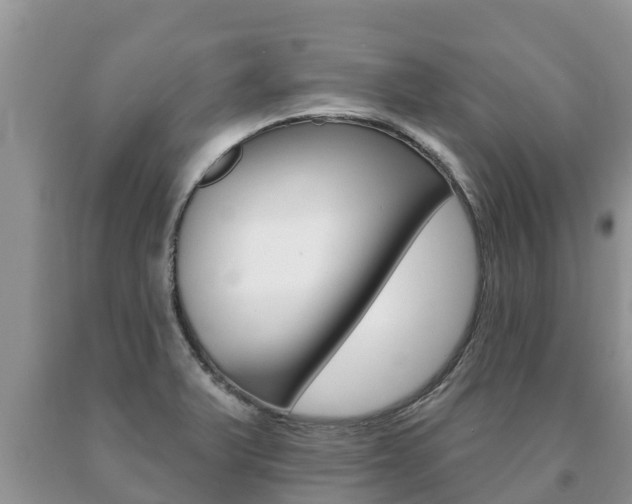 X0000091071375200708061013