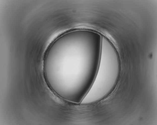 X0000091071376200708061013
