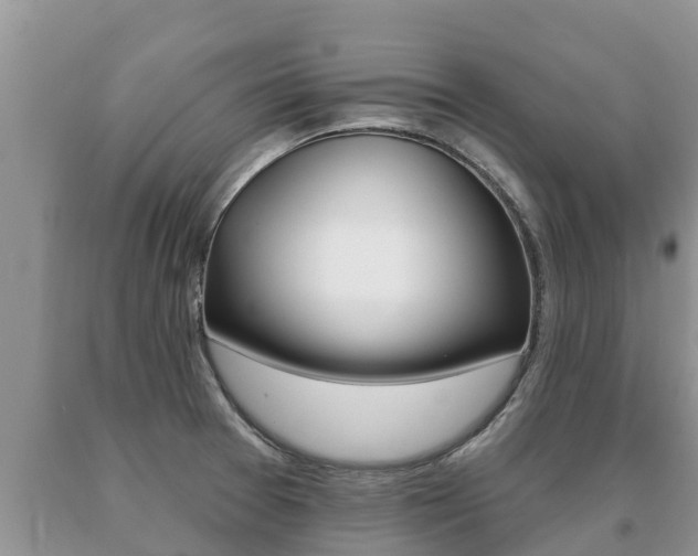 X0000091071377200708061013
