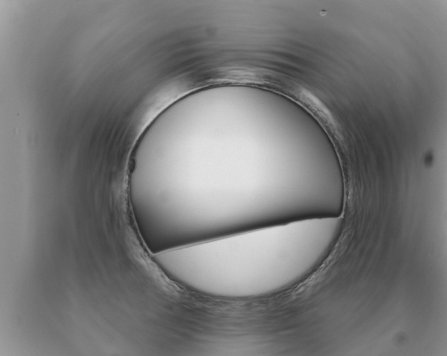 X0000091071378200708061013
