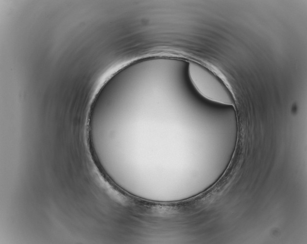 X0000091071379200708061013