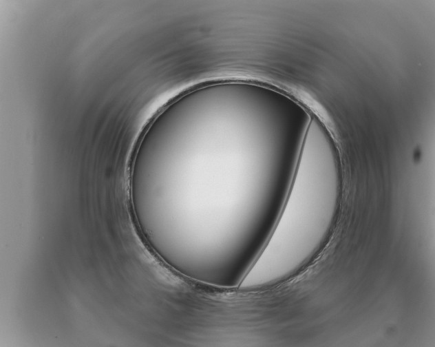 X0000091071380200708061013