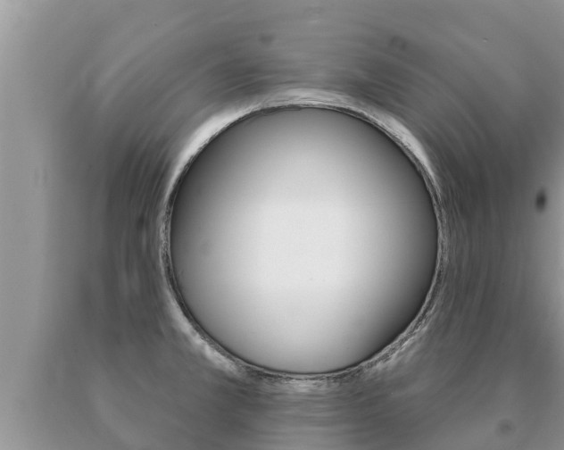 X0000091071381200708061013
