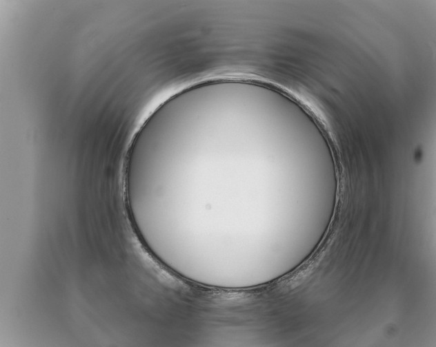 X0000091071382200708061013