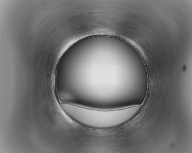 X0000091071383200708061013