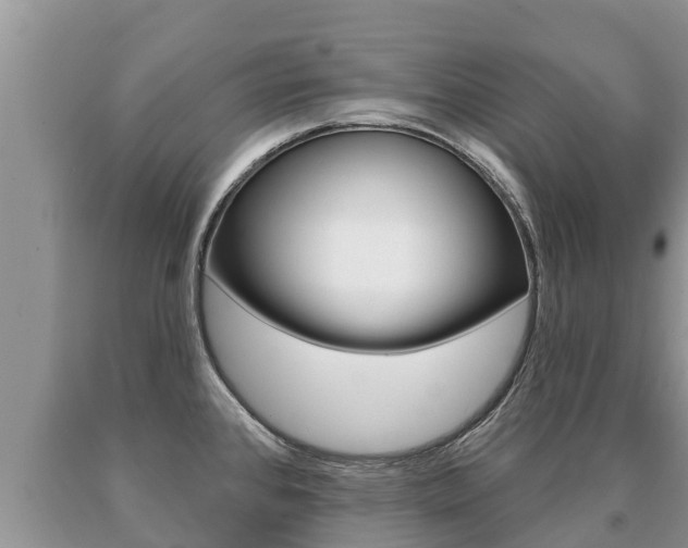 X0000091071384200708061013