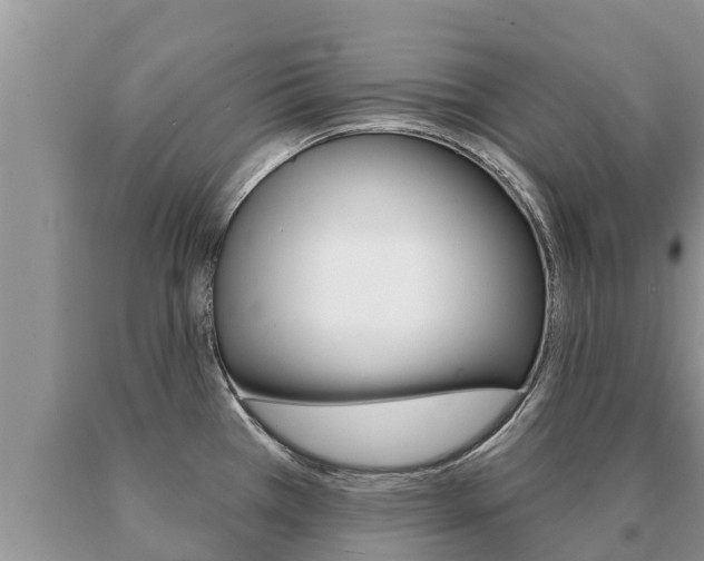 X0000091071385200708061013