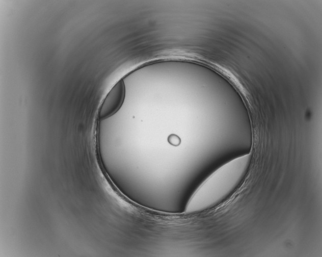 X0000091071387200708061013