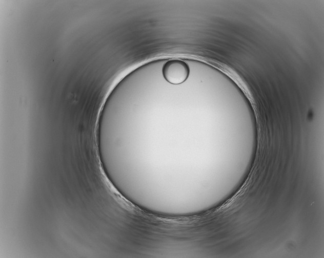 X0000091071388200708061013