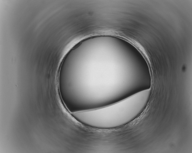 X0000091071389200708061013