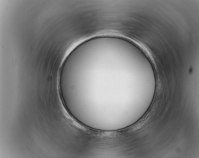 X0000091071390200708061013