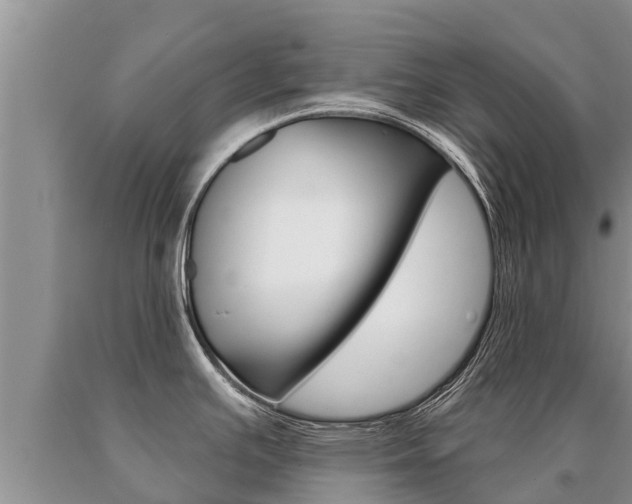 X0000091071391200708061013
