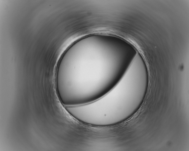 X0000091071392200708061013