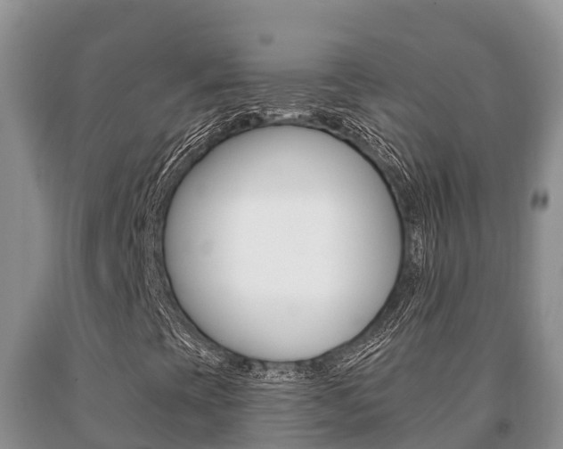 X0000091071393200708061012