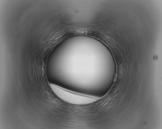 X0000091071394200708061012