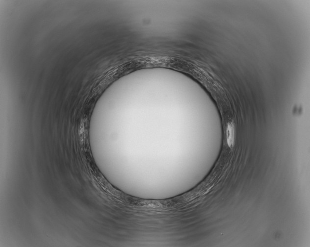 X0000091071395200708061012