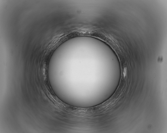 X0000091071396200708061012