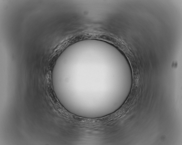 X0000091071397200708061012