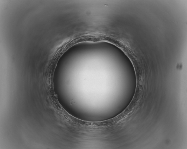 X0000091071398200708061012