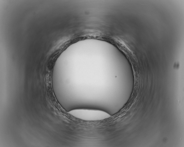 X0000091071399200708061012