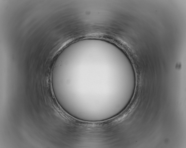 X0000091071401200708061012