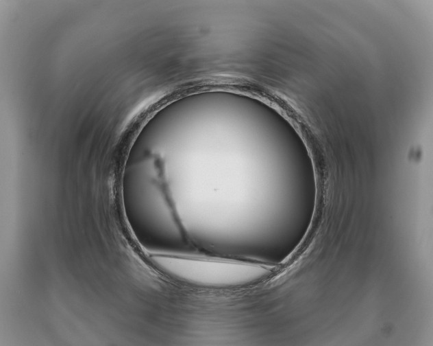 X0000091071402200708061012