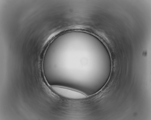 X0000091071404200708061012