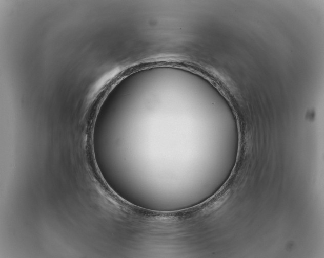 X0000091071406200708061012
