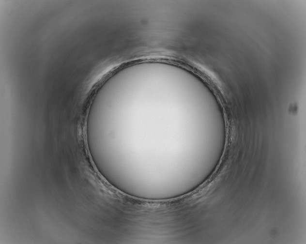 X0000091071407200708061012