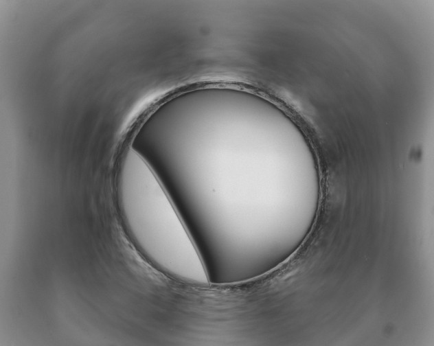 X0000091071408200708061012