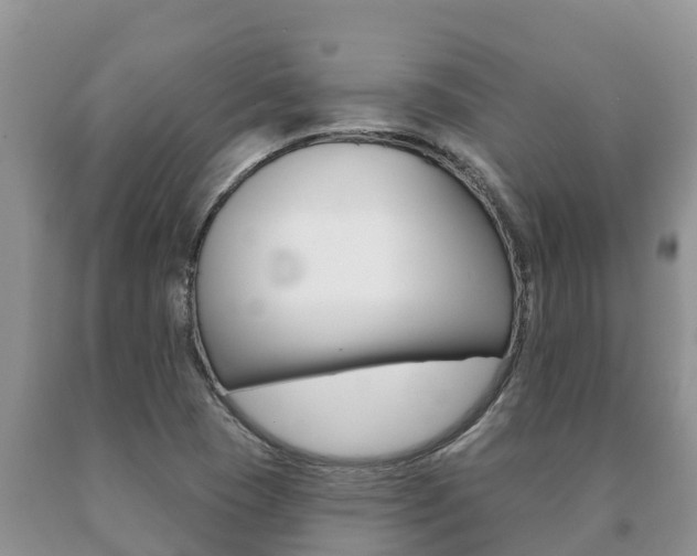 X0000091071409200708061012