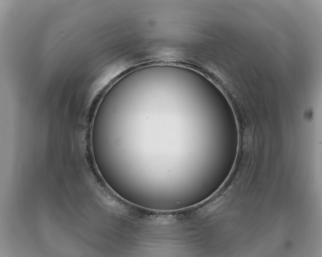 X0000091071410200708061012