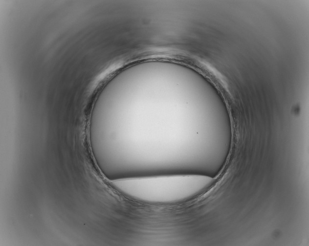 X0000091071411200708061012