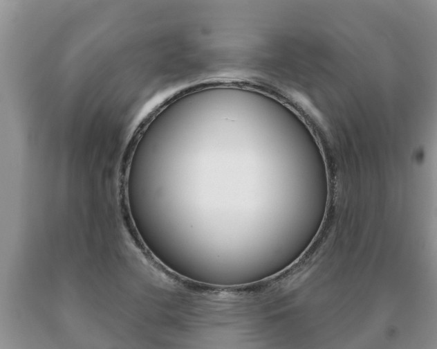 X0000091071412200708061012
