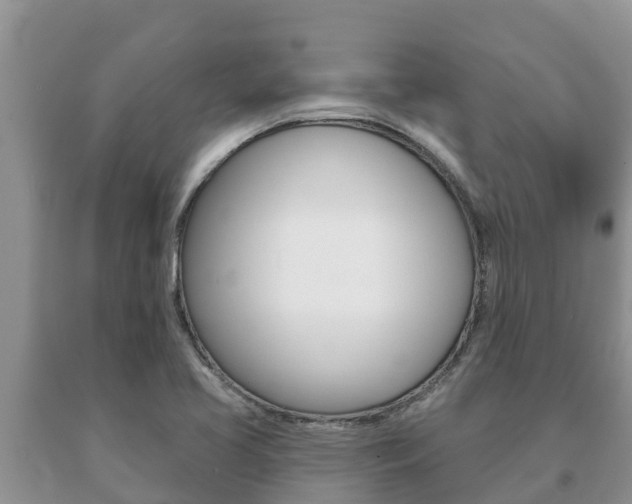 X0000091071413200708061012