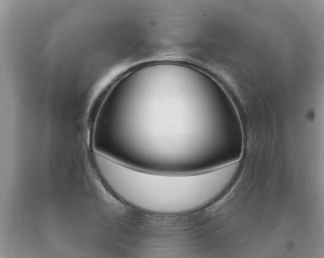 X0000091071414200708061012