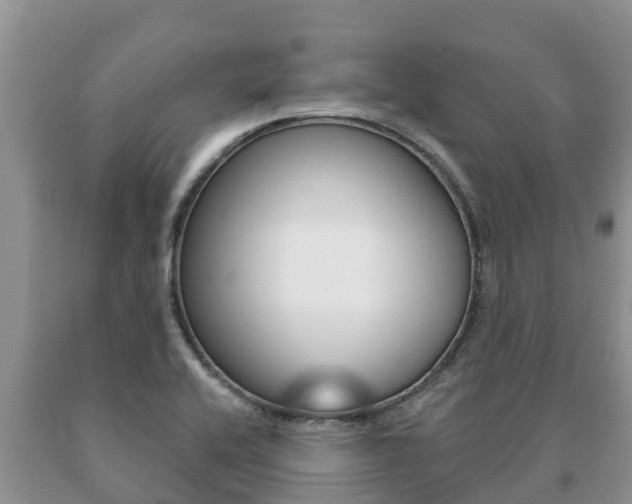 X0000091071416200708061013