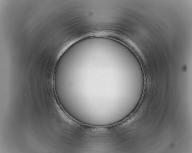 X0000091071417200708061013