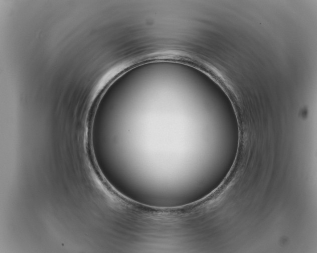 X0000091071418200708061013