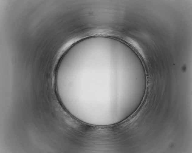 X0000091071419200708061013