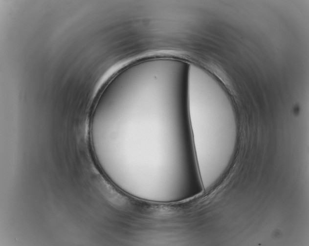 X0000091071420200708061013