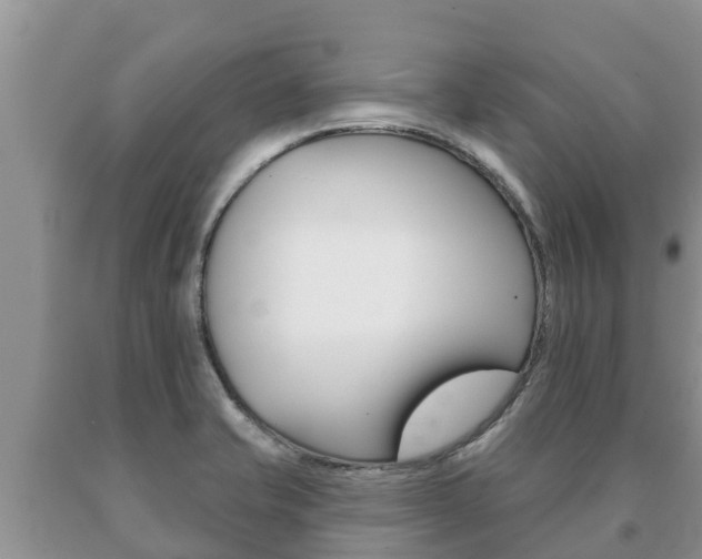X0000091071421200708061013