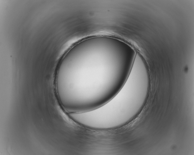 X0000091071422200708061013