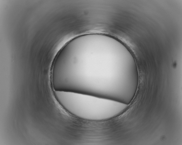 X0000091071423200708061013