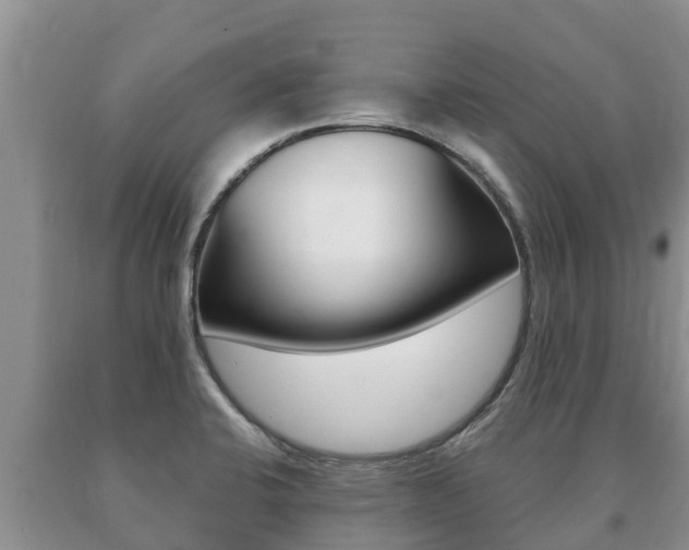 X0000091071424200708061013
